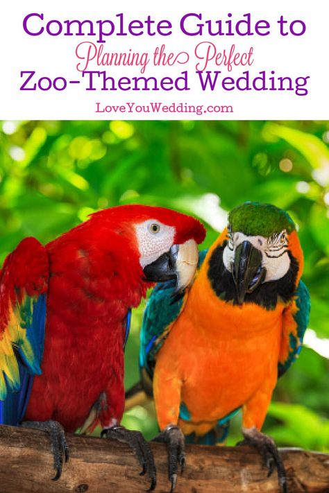 Zoo Themed Wedding Centerpieces, Zoo Theme Wedding, Animal Wedding Theme, Zoo Wedding Ideas, Lesbian Wedding Suit, Lesbian Engagement Pictures, Lesbian Wedding Outfits, Lesbian Wedding Rings, No Wedding