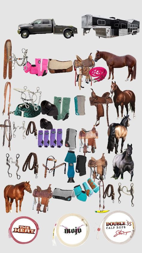 Horse Needs, Horse Stuff Western, Western Horse Tack Turquoise, Western Riding Clothes, Barrel Racing Tack Sets, Barrel Racing Tack Rodeo, Western Horse Riding, Horse Tack Diy, Western Horse Saddles