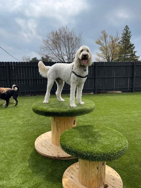 Dogs Playground Backyard, Dog Friendly House Design, Best Dog Parks, Outdoor Play Area For Dogs, Dog Playground Indoor, Doggy Playground Backyards, Diy Dog Backyard, Dog Ear Fence Crafts Diy Projects, Dog Indoor Play Area