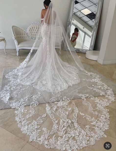 Long Veil Wedding, Dream Wedding Decorations, Long Train Wedding Dress, Bride Veil, Designer Gown, Wedding Bridal Veils, Pretty Wedding Dresses, Wedding Veils Lace, Wedding Dress With Veil