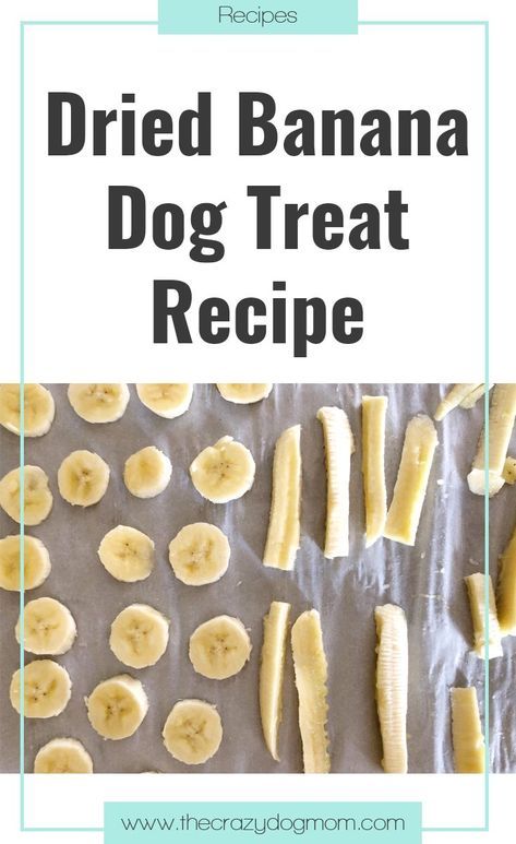 Banana Dog Treat Recipe, Pet Treats Recipes, Banana Treats, Dog Treats Homemade Easy, Easy Dog Treat Recipes, Dog Treat Recipe, Dog Biscuit Recipes, Easy Dog Treats, Healthy Dog Treats Homemade