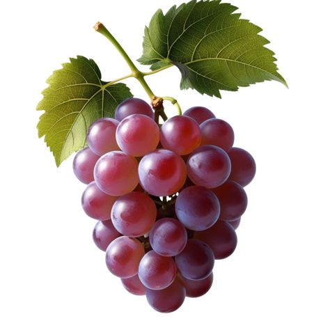 A fresh grapes with two leaves Background Fruit, Fruit Png, Black Grout, Fruit Photography, Black And White Tree, Fruit Illustration, Grape Bunch, Purple Grapes, Wedding People