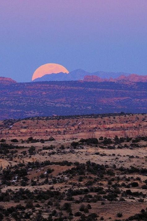 xx Desert Aesthetic, Bohemian Diesel, Desert Dream, Desert Vibes, Desert Sunset, In The Desert, Pretty Places, Of Wallpaper, The Desert