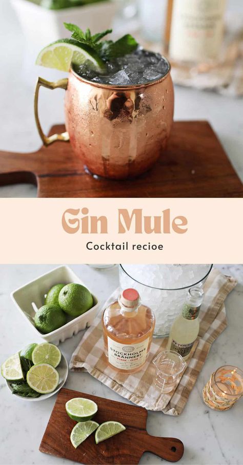 Gin Mule Cocktail - A Beautiful Mess Gin Mule Recipe, Mexican Mule, Kentucky Mule, Mule Cocktail, Mule Recipe, Sweet Cocktails, Pink Gin, Mixed Drinks Recipes, A Beautiful Mess