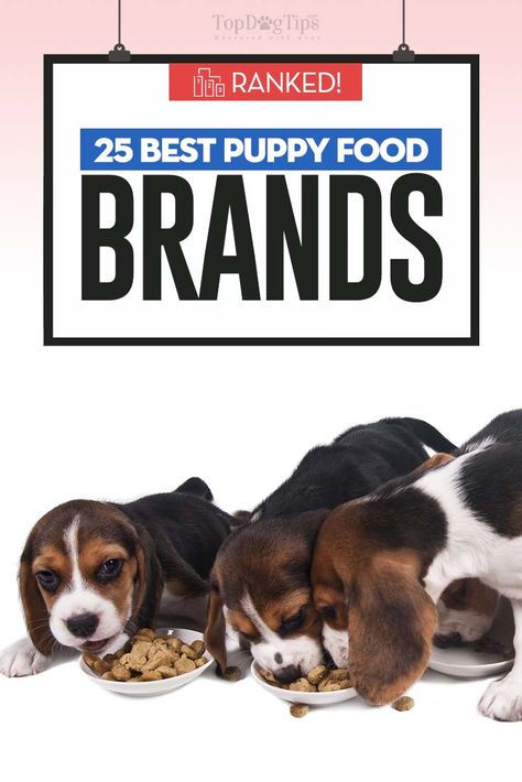 25 Best Puppy Food Brands (2018) Best Food For Puppies, Healthy Food Branding, Puppy Formula, Best Puppy Food, Best Dry Dog Food, Best Dog Food Brands, Bearded Dragon Cute, Dog Food Brands, Dog Ages