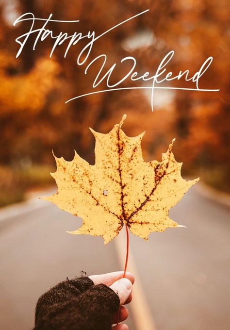 Thanksgiving Weekend Quotes, Autumn Weekend Quotes, Hello Weekend Quotes, Hello Weekend Images, Great Weekend Quotes, Weekend Therapy, Happy Thanksgiving Weekend, Bon Week End Image, Fall Friday