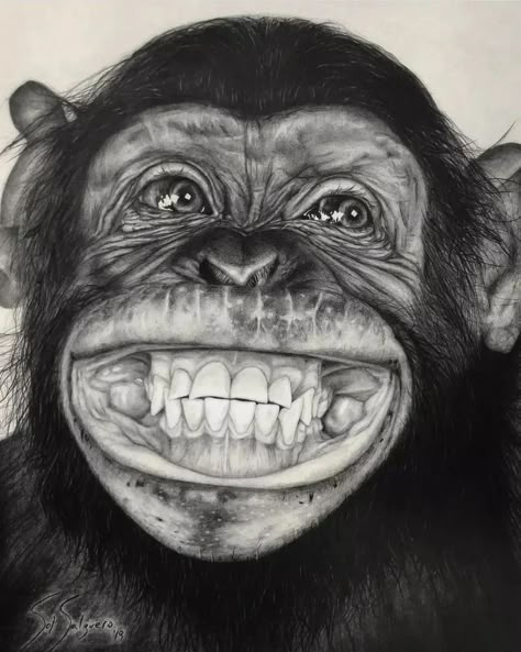 Ape Drawing Sketch, Monkey Charcoal Drawing, Monkey Drawing Realistic, Tattoos For Father, Ape Drawing, Chimpanzee Painting, Chimpanzee Drawing, Mother Teresa Art, Monkey Sketch