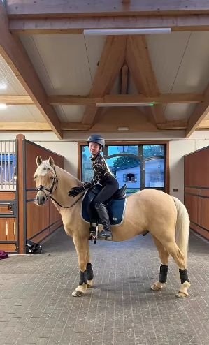 Forest Oaks Equestrian, Harlow And Popcorn, Equestrian Stables, Vines Funny Videos, Dressage Horses, Horse Quotes, Show Jumping, Cute Animal Photos, Horse Rider