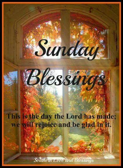 Love my Sundays!! Very special Sunday coming up!! Thanking God for all our Blessings!! Blessed Sunday Quotes, Blessed Sunday Morning, Good Morning Sunday Images, Sunday Morning Quotes, Good Sunday Morning, Sunday Greetings, Sunday Wishes, Sunday Blessings, Sunday Images