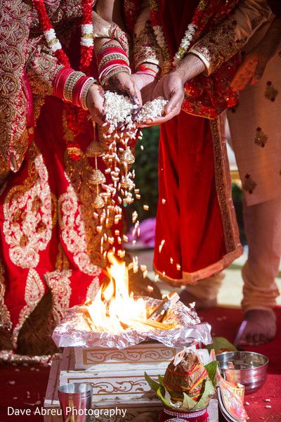 Sorry Brother, Indian Wedding Aesthetic, Indian Wedding Pictures, Bride Groom Poses, Indian Bride Photography Poses, Bride Photos Poses, Indian Wedding Poses, Two Love Birds, Indian Marriage