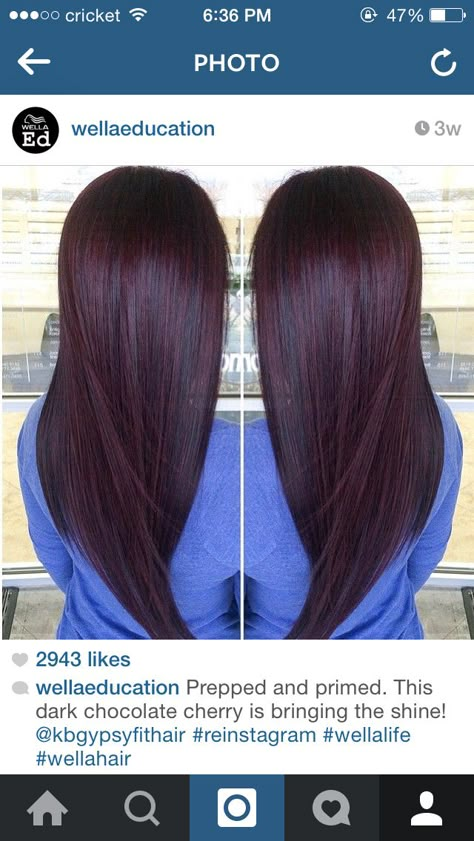 Black cherry hair color Black Cherry Hair Color, Black Cherry Hair, Cherry Hair Colors, Hair Color Plum, Plum Hair, Cherry Hair, Dark Red Hair, Red Highlights, Burgundy Hair