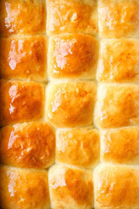 Make Ahead Yeast Rolls Make Ahead Yeast Rolls, Overnight Dinner Rolls, Vegan Dinner Rolls, Easy Yeast Rolls, Dinner Roll Recipe, Homemade Yeast Rolls, Yeast Rolls Recipe, No Yeast Dinner Rolls, Dinner Roll