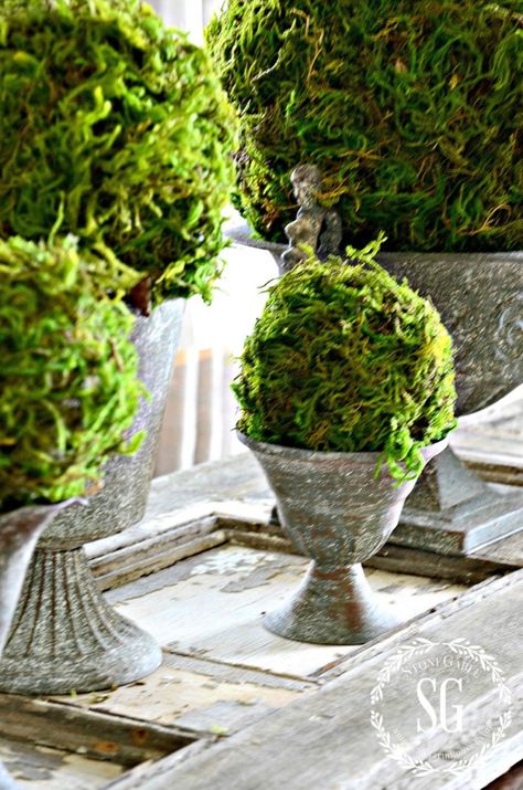 Diy Moss Ball, Topiary Diy, Moss Ball, Moss Decor, Moss Garden, Moss Balls, Spring Crafts, Floral Wall, Easter Decorations