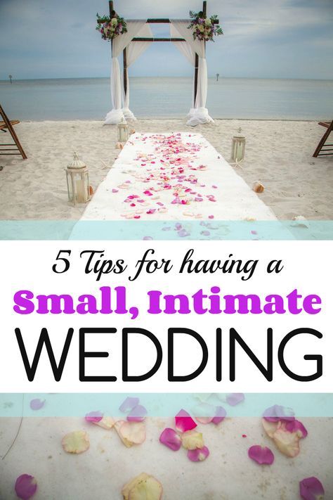 Small Beach Weddings, Planning A Small Wedding, Weddings Small, Wedding Small, Small Weddings, Beach Wedding Decorations, Small Intimate Wedding, Nontraditional Wedding, Wedding Planning Checklist