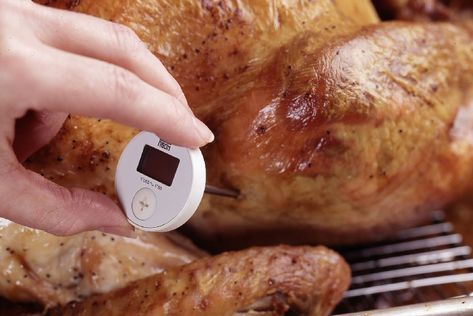 How to Check the Internal Temperature on a Turkey Temp To Cook Turkey, Temperature To Cook Turkey, Cook Turkey In Oven, Turkey Temp, Turkey Temperature, Turkey Thigh, Cooked Chicken Temperature, Turkey In Oven, Turkey Cooking Times