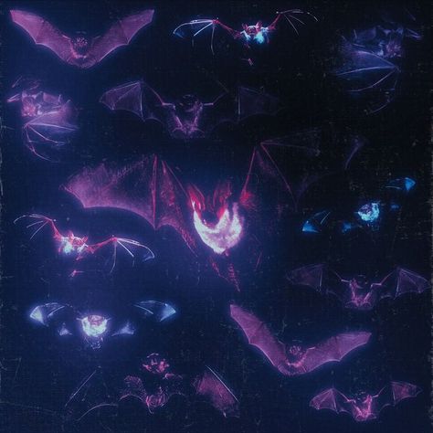 Bats Aesthetic, Bat Aesthetic, Night Sky, Bat, Instagram Profile, Purple, On Instagram, Instagram