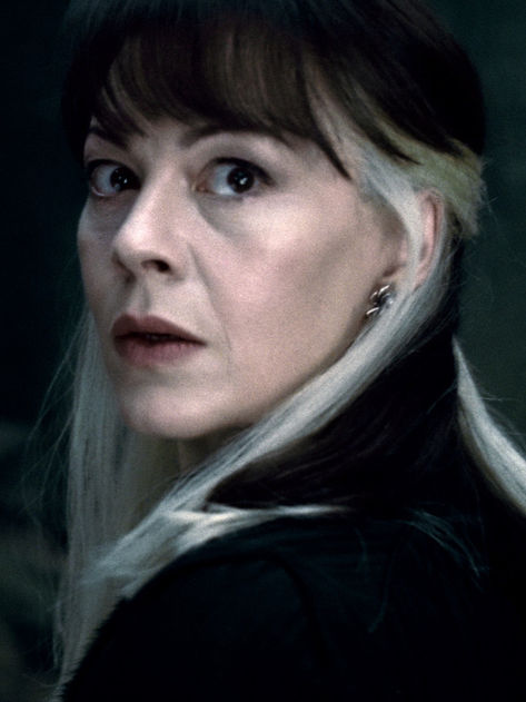 Helen McCrory a Narcissa Malfoy in Harry Potter and the Deathly Hallows – Part 2. For more Wizarding World content, check out our Official Harry Potter board. Harry Potter Narcissa Malfoy, Harry Potter Narcissa, Harry Potter Board, Potter Family, Narcissa Malfoy, Helen Mccrory, Deathly Hallows Part 2, The Deathly Hallows, Harry James Potter