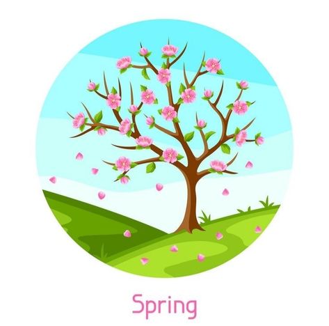 Spring Season Images, Trees In Different Seasons, Spring Landscape Drawing, Spring Season Drawing, Seasons Illustration, Spring Blooming Trees, Seasons Posters, Spring Images, Sakura Flowers