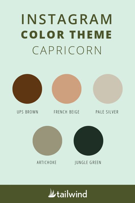 Can’t pick which Instagram color themes to style your grid with? Browse the best Instagram color themes for each zodiac sign for some celestial inspiration! #zodiac #instagramthemes Zodiac Color Palette Capricorn, Capricorn Colour Palette, Capricorn Color Palette, Capricorn Colours, Capricorn Colors, Instagram Color Themes, Zodiac Sign Colors Palette, Zodiac Color Palette, Star Sign Capricorn