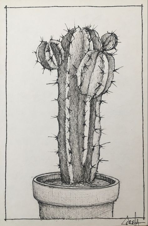 Cactus Pen Drawing, Drawing Of Cactus, Cactus Drawing Pencil, Realistic Cactus Drawing, Cactus Ink Drawing, Plant Sketch Pencil, Sketch Cactus, Cacti Drawing, Cactus Drawings