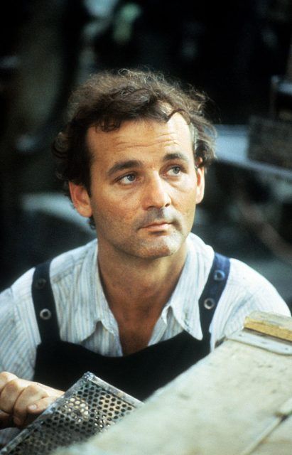 10 Reasons why Bill Murray is Like no Other Actor in Hollywood Warren Oates, Edward Iii, What About Bob, Richard Dreyfuss, Ghostbusters Movie, Great Comedies, Photo Bank, Bill Murray, Brothers And Sisters