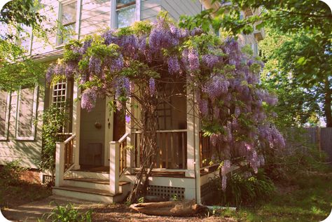 Dolls For Boys, Wisteria Trellis, Country Porches, Dream Porch, Wisteria Garden, Porch Rocker, Country Porch, Countryside House, Farms Living