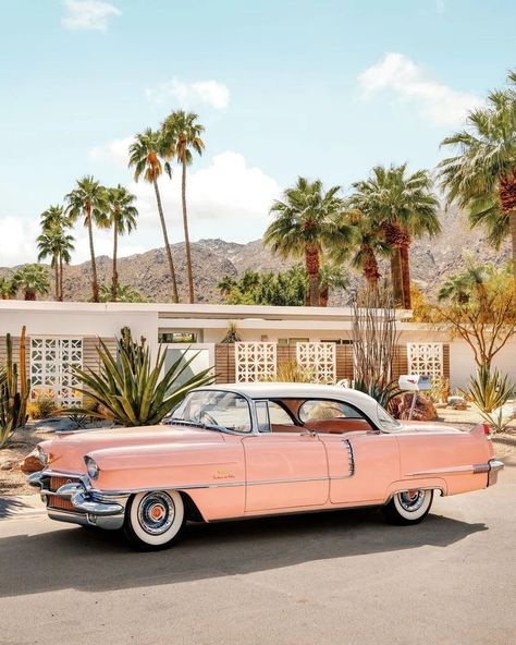 Mid Century Palm Springs, Palm Springs Party, Vintage Palm Springs, Palm Springs Mid Century Modern, Paul Fuentes, Palm Spring, Letter X, Palm Springs California, Car Classic