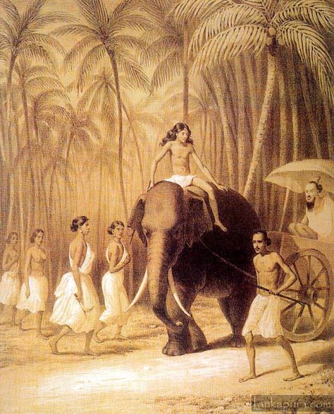 Route between Colombo and Kandy Last Kingdom, Art Articles, History Of India, The Last Kingdom, Asian History, Island Paradise, Elephant Love, Vintage Illustrations, Old Images