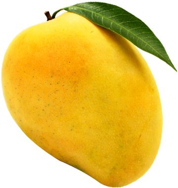 Mango Images, Fruit Nutrition Facts, Mango Benefits, Fruit Nutrition, Fruit Picture, Fruits Images, Mango Fruit, Mango Tree, Mango Juice