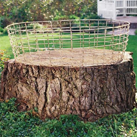 15 Creative Tree Stump Ideas To Style Up Your Garden Tree Stump Ideas, Tree Stump Decor, Stump Ideas, Tree Stump Planter, Taman Diy, Samos, Wire Basket, Garden Yard Ideas, Tree Stump