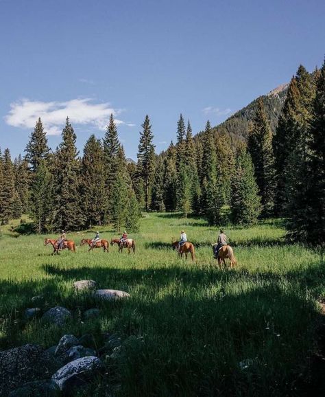 Western Usa Aesthetic, Small Town Montana, Montana Country Aesthetic, Mountain Country Aesthetic, Montana Horse Ranch, Montana Travel Aesthetic, Montana Big Sky, Montana Living Aesthetic, Colorado Ranch Aesthetic