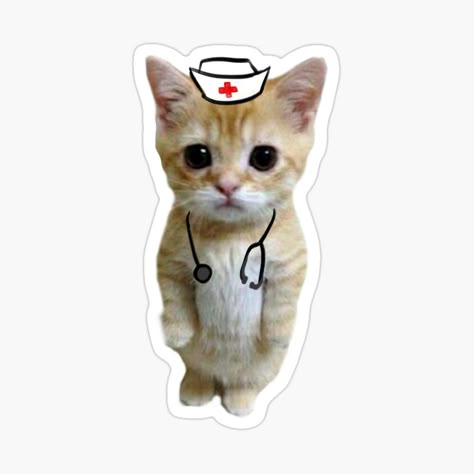 Nursing Doodles, Nurses Stickers, Med Stickers, Nursing Stickers, Stickers Emoji, Nurse Cat, Medical Stickers, Medical Wallpaper, Professional Nurse