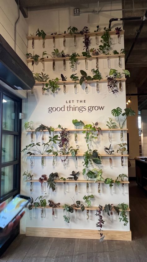 Plant Wall Salon, Cozy Salon Ideas, Small Office Ideas Business, Plant Nursery Ideas, Plant Wall Ideas Indoor, Propagation Wall, Tanaman Air, Forest Bedroom, Trellis Garden