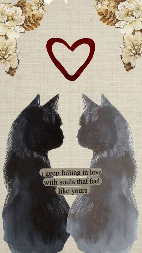 Couples Phone Wallpaper, Cute Cat Wallpaper, Cat Wallpaper, Cats Love, Cute Cat, In Love