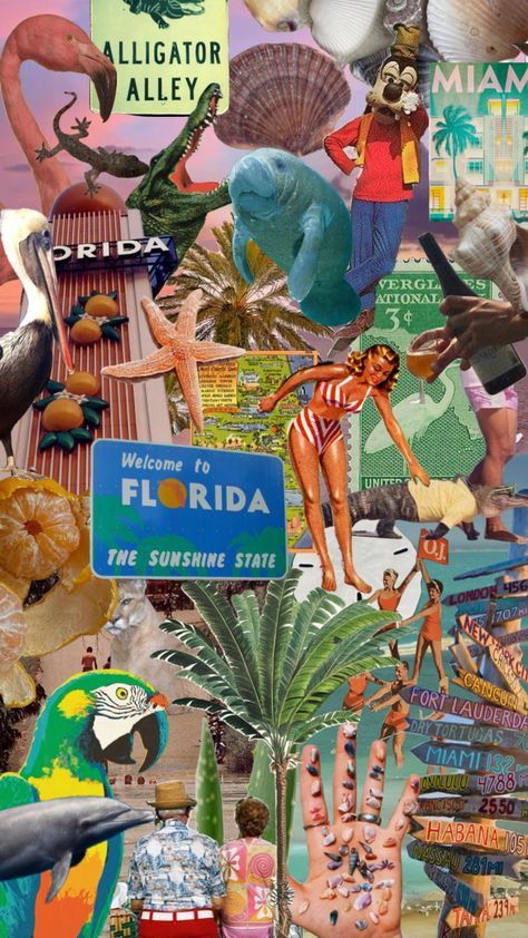 Florida Florida Collage, Florida Wallpaper, Florida Aesthetic, Flowers Water, Everglades National Park, St Petersburg Florida, Iphone App Design, Sunshine State, Summer Wallpaper