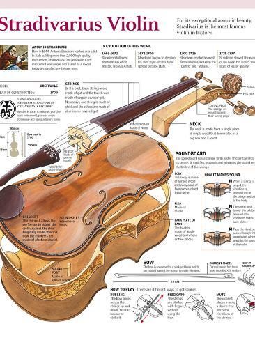 size: 12x9in Photographic Print: Stradivarius Violin. : Violin Posters, Violin Poster, Cello Art, Stradivarius Violin, Musician Jokes, Viola Instrument, Violin Family, Violin Teacher, Violin Instrument