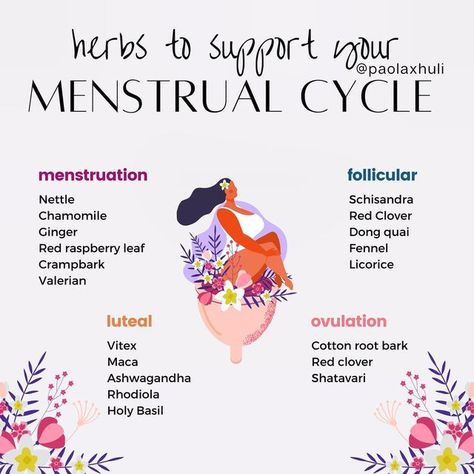 Natural Remedies For Menstrual Cycle, Herbs To Regulate Menstrual Cycle, Herbs For Cycle Phases, Herbal Tea Cycle Syncing, Herbal Menstrual Relief, Herbs Menstrual Cycle, Teas For Each Cycle Phase, Menstrual Cycle Spiritual, Cycle Syncing Herbal Teas