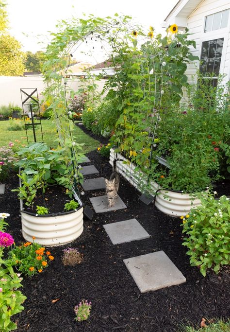 Oval Raised Garden Bed, Vego Garden Layout Ideas, Planter Box Gardens, Backyard Landscaping With Garden Beds, Garden Without Raised Beds, Garden Bed Shade Ideas, Raised Garden Bed Walkway, Metal Garden Bed Layout, Galvanized Raised Garden Beds Layout