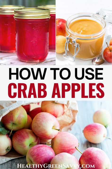 Fall Gardening Ideas, Crab Apple Recipes, Crab Apple Jelly, Homemade Fruit Leather, Fruit Leather Recipe, Crab Apples, Ideas Garden Design, Fall Gardening, Apple Jelly