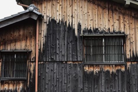 The Top 10 Myths About Shou Sugi Ban Charred Wood Siding - Nakamoto Forestry Shou Sugi Ban House, Charred Wood Siding, Burnt Wood Finish, Casa Wabi, Wood Facade, Siding Options, Shingle Siding, Burnt Wood, Charred Wood