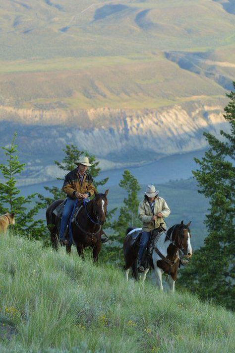 equine beauty Cowboy Pictures Men, Montana Cowboy, Cowboy Pictures, Real Cowboys, Foto Langka, Wilde Westen, Western Life, Big Sky Country, Cowboy Up