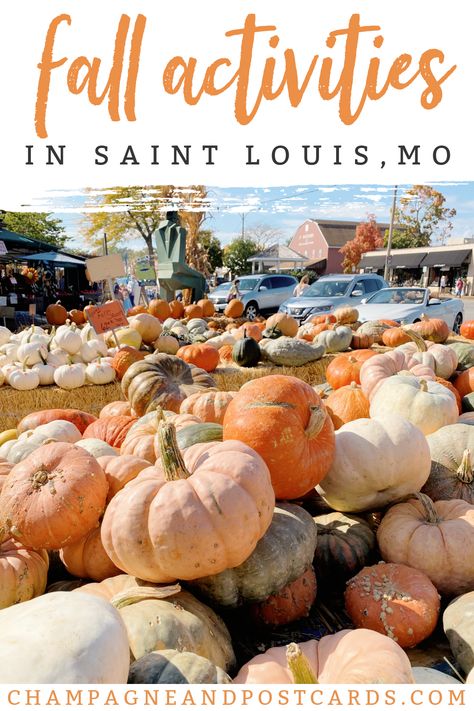 Weekend In St Louis, Things To Do In Saint Louis, Things To Do In St Louis Missouri, St. Louis, Fall Weekend Trip, Things To Do In Fall, Fall Beers, Saint Louis Missouri, Apple Orchards