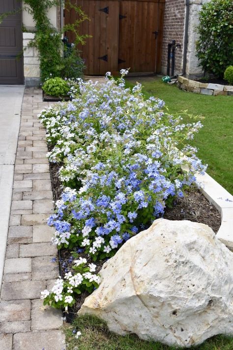 Curb Appeal Garden Front Yards, Front Yard Flower Landscaping, Side Driveway Landscaping Ideas, Suburban Landscaping Front Yard, Side Of Home Landscaping, Front Entry Flower Beds, Drive Way Landscape Front Yards, Front Planters Landscaping, Landscaping Next To Driveway