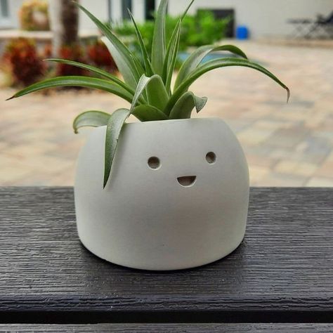 Concrete Succulent Planters, Melbourne Florida, Clay Diy Projects, Tiny Plants, Air Plant Holder, Cute Happy, Ceramics Ideas Pottery, Plant Roots, Happy Face