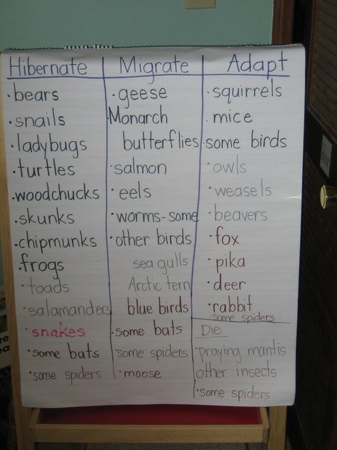 Animals in Winter   Can we just notice that some spiders are in each of the columns.  Sorry Debbie and Tabitha this is their world. :-)~ Animals That Migrate, Migration Crafts For Toddlers, Preschool Animals In Winter, Animals In Winter Kindergarten, What Animals Hibernate In The Winter, Hibernation Theme Preschool, Migration Activities For Kids, Migration Preschool, Migrating Animals