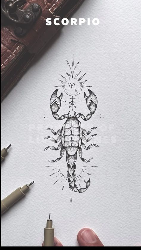 Scorpio Back Tattoo For Men, Scorpio Phoenix Tattoo, Scorpio Spine Tattoo, Scorpion Zodiac Tattoo, Scorpio Tattoo Feminine, Feminine Scorpion Tattoo, Scorpio Tattoos For Women, Joker Tattoo For Women, Scorpio Tattoo Zodiac