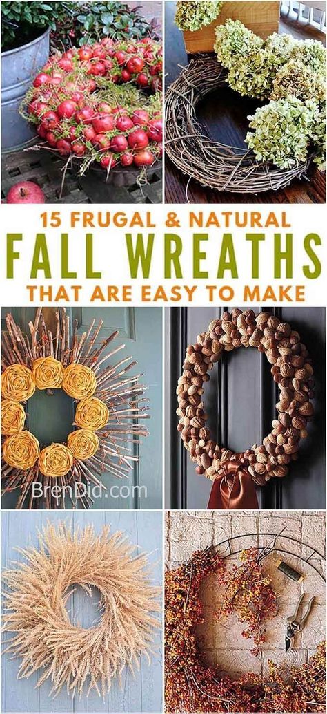 Homemade Autumn Wreath, Simple Diy Fall Wreath, Natural Wreath Ideas, Diy Eucalyptus Wreath, Homemade Fall Wreaths, Diy Fall Wreath For Front Door, Autumn Wreath Ideas, Diy Autumn Wreath, Sustainable Crafts