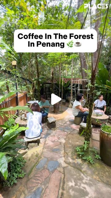 Places Malaysia on Instagram: "This place in Penang lets you enjoy coffee in the forest! 🌿☕️ . 📌 It's Kopi Hutan, located in Penang Hill, Penang. 🌤️ This is the highest cafe in Penang, situated at about 730 meters above sea level, 😲 offering a serene ambiance that's truly breathtaking! 🍃 Make sure to try their signature " Kopi Hutan ", a blend of 5 unique coffee beans ☕️ that will give you an unforgettable experience! 😍 . 【 Kopi Hutan 】 📍Summit Road, Penang Hill, Penang ✅ 9am - 5pm (Daily) . #Malaysia #Penang #PenangHill #KopiHutan #Coffee #Jungle #Forest #Enjoy #Relax #Serene #coffeelover" Jungle Cafe, Penang Hill, Malaysia Penang, Forest Cafe, Jungle Forest, Penang Malaysia, Malaysia Travel, Enjoy Coffee, Sea Level