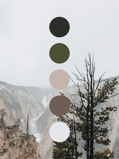 Dark Pastels Color Palette, Black Green Grey Color Palette, Blue Green And Neutral Color Palette, Yellowstone Color Palette, Growth Color Palette, Beige And Green Palette, Color Palettes With Black, Green Black Color Palette, Monotone Color Palette