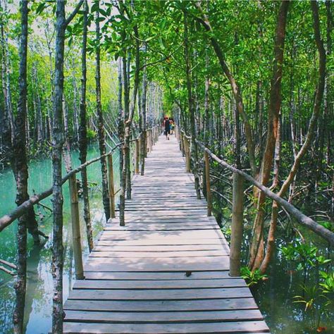 Superb! Bakhawan Eco Park. Kalibo, Akwan, Philippines. Photo by @doctoban La Union Philippines, Kalibo, Eco Park, Bataan, Adventure Park, Palawan, May 7, Philippines, Textiles